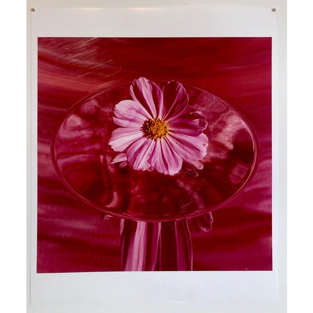 2000 - 2009 Peter C. Jones 1, Pink Cosmo, Large Format Photo 24X20 Color Photograph Beach House, 2004 For Sale - Image 5 of 5