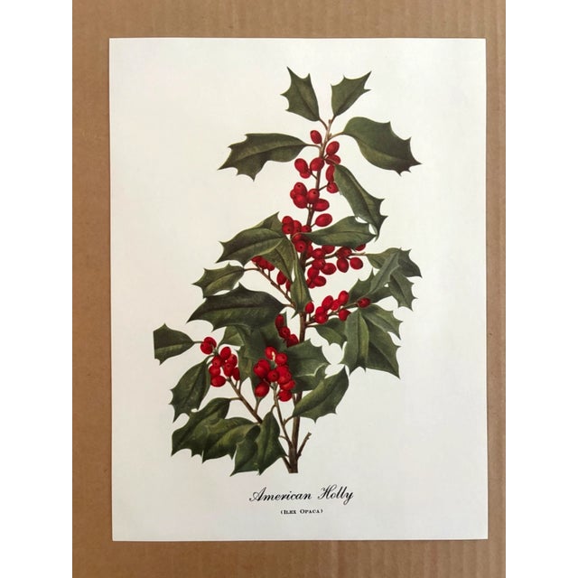 Up for sale is this charming print from an original painting by noted artist Mary Vaux Walcott (1860-1940), matted in an...