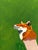 Contemporary Alex Paulus “You're looking good just like a snake in the grass” Contemporary Fox Painting, 2018 For Sale - Image 3 of 7