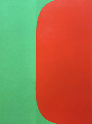 1964 Ellsworth Kelly Original Lithograph Derriere Le Miroir Dm02149