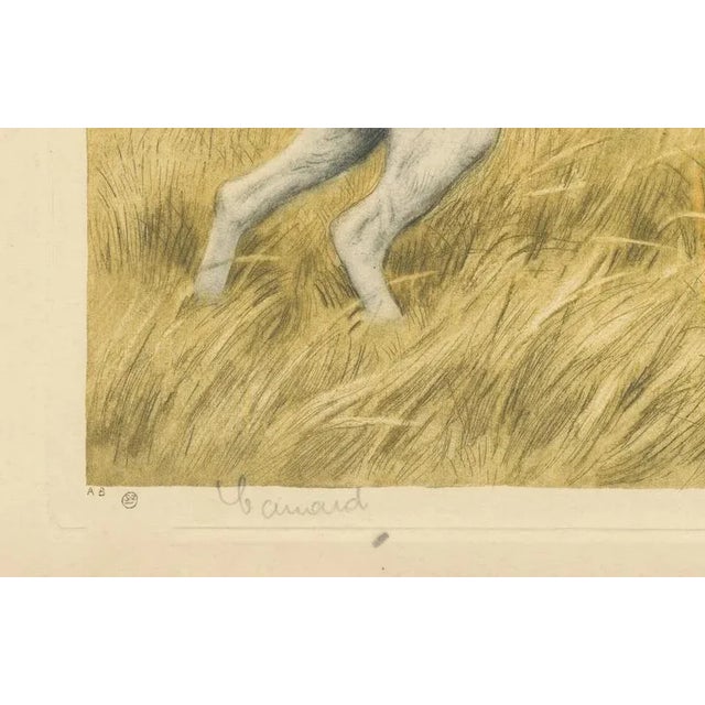 Paul Wood, Pointer and Mallard, 1920s, Paper For Sale - Image 6 of 9