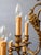 Antique Chandelier with Fifteen Bulbs For Sale - Image 10 of 18