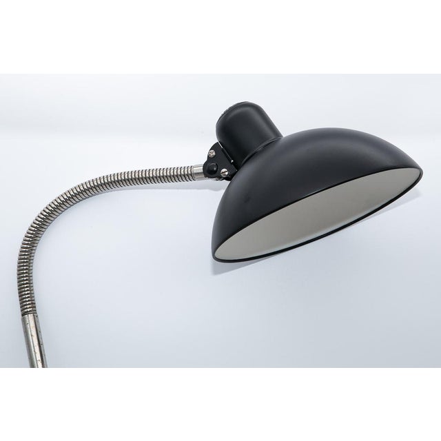 Bauhaus Model 6740 Gooseneck Clamp Lamp by Christian Dell for Kaiser Idell / Kaiser Leuchten, 1930s For Sale - Image 3 of 12