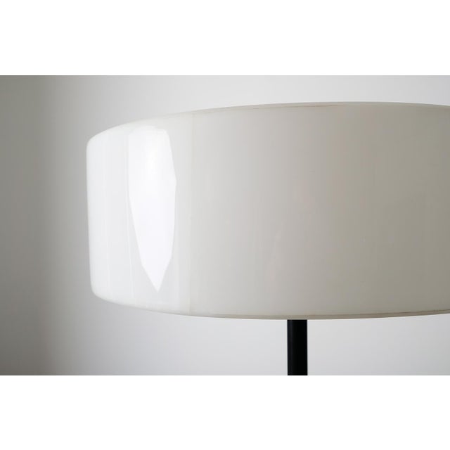 Mid-Century Floor Lamp, 1950s For Sale - Image 10 of 13