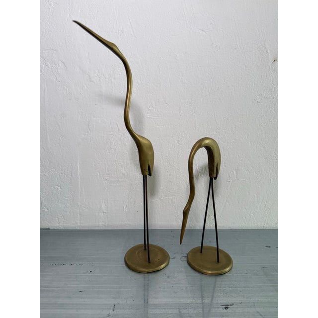 Bronze Brazilian Mid-Century Bronze Heron Sculptures - A Pair For Sale - Image 8 of 12