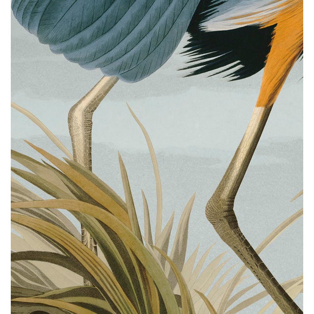 Giclee reproduction of John J. Audubon's American Great Blue Heron remastered by CFA Editions. The Great Blue Heron is one...