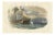 After Édouard Traviès, Shark Fishing, 1840, Hand-Colored Engraving For Sale