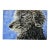 Giclee Fine Art Print Watercolor Painting of “Pixie Poodle” For Sale