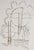 Man Ray, Dream Flowers: Hélène, 1969, Original Etching For Sale - Image 4 of 6