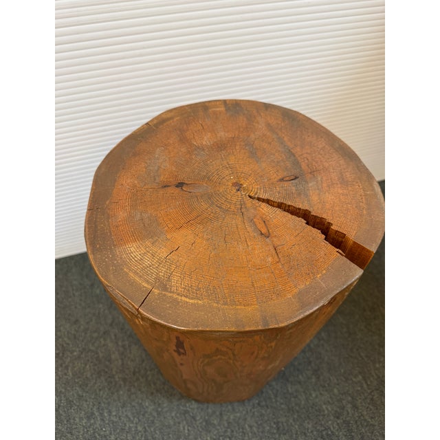 Brown Organic Tree Stump Side Table/Stool For Sale - Image 8 of 12