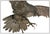 The eagle with its spread wings and splayed talons is of impressive craftsmanship and size, measuring approximately 38" x...