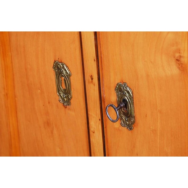 Wood Biedermeier Cabinet in Cherry, Spruce & Ebony, Czech, 1820s For Sale - Image 7 of 18