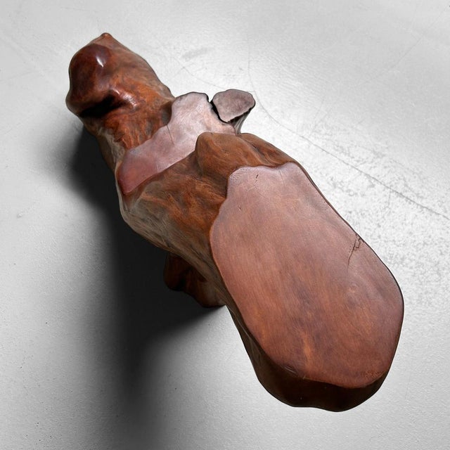 Vintage Japanese Organic Pedestal Stand in Keyaki Wood, 1920s For Sale - Image 14 of 18