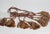 Vintage large tassels with Tiebacks. Tassels itself are 8”, total length 51”.