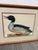 Jan Christian Sepp Merganser Duck Engraving Reproductions, Pair For Sale - Image 4 of 9