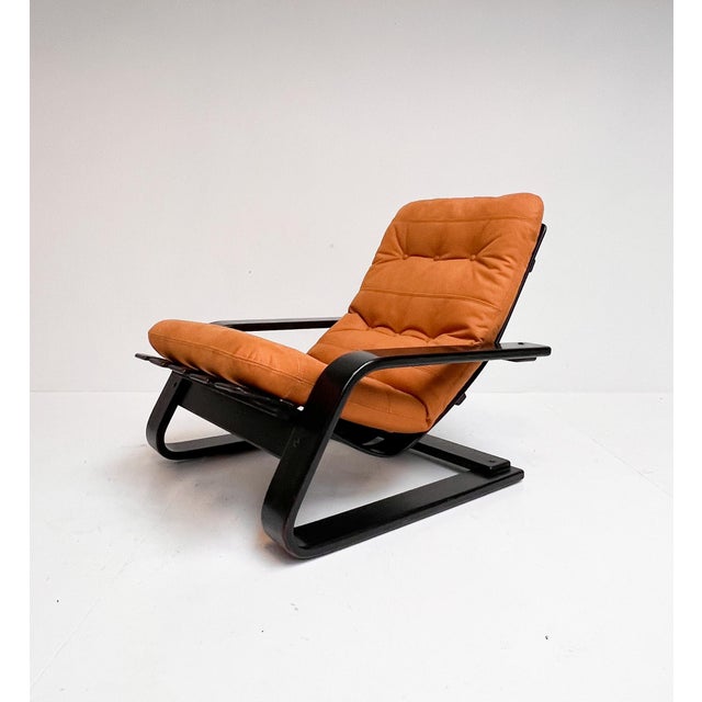 Reupholstered Cognac Coloured Lounge Chair, 1960s For Sale - Image 15 of 18