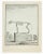The Skeleton is an etching realized by Jean Gullaume Moitte in 1771. It belongs to the suite "Histoire Naturelle de...