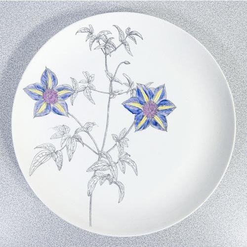 1950s Vintage Plates in Porcelain, Set of 6 For Sale - Image 5 of 18