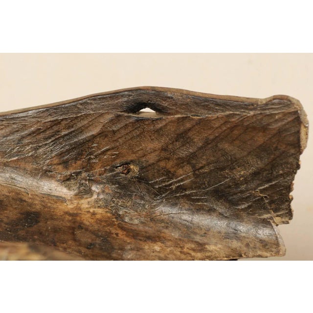 Carved Wood Crocodile Head Boat Prows on Stands, Papua New Guinea - Set of 3 For Sale - Image 9 of 11