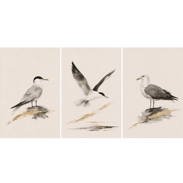 Coastal Seabird Study Set of 3, Minimalist Nautical Art Prints, 24″ × 36″ Each Reproduction For Sale