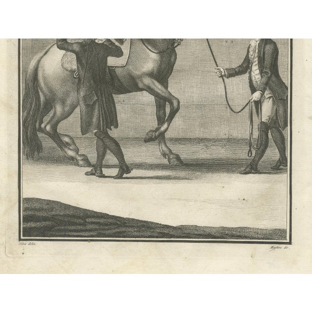 Gaspar Fróis Machado, Equestrian Training Horsemanship, 1790, Engraving, Set of 3 For Sale - Image 14 of 15