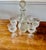 Early 20th Century Glass Decanter Set With Six Stemmed Goblets For Sale - Image 9 of 12