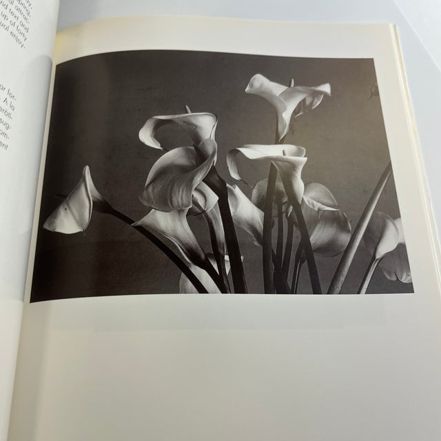 1990 Art of Light Book For Sale - Image 10 of 11