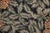 Rustic Late 20th Century Wild Vietnamese Cheetah Hooked Rug - 5' x 8' For Sale - Image 3 of 6