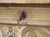 18th Century Painted Armorial Cassapanca Bench From Tuscany, Italy For Sale - Image 4 of 18