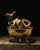 Bad to the Bone by Shawn Sullivan | Oil on Panel Still Life of Birds and Bone Fragments For Sale