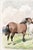 Not Yet Made - Made To Order 1850 Vintage English Equestrian Art Print by John Frederick Herring - 60" X 40" For Sale - Image 5 of 8