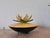 Small Eastern European Acrylic & Plastic Water Lily or Lotus Night Lamp, 1970s For Sale - Image 14 of 14
