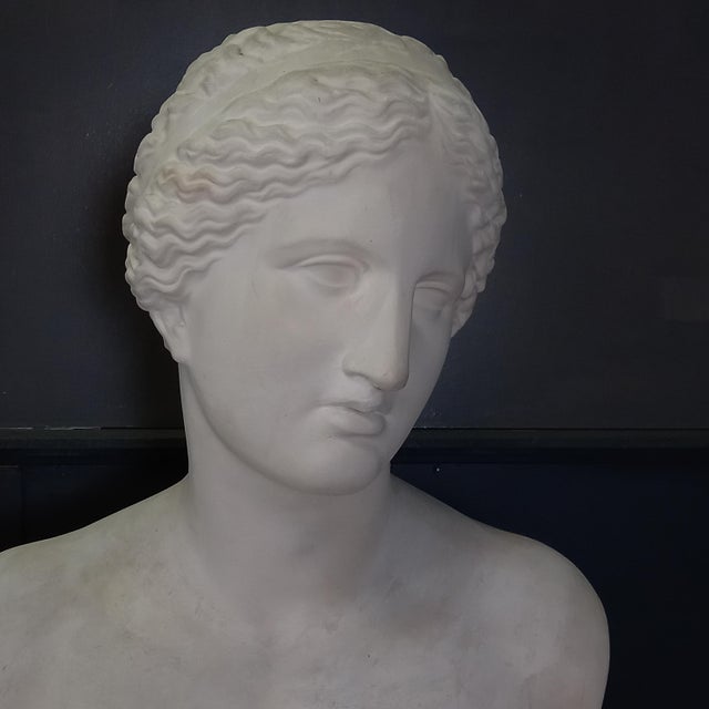 Large Nude Bust of Venus, 1950s For Sale - Image 3 of 15