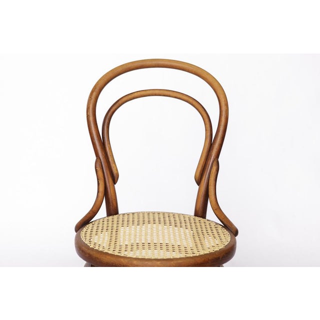 Antique No. 14 Chair Viennese Coffee House Bentwood Chair with Cane Seat by Michael Thonet for Thonet, 1920s For Sale - Image 3 of 10