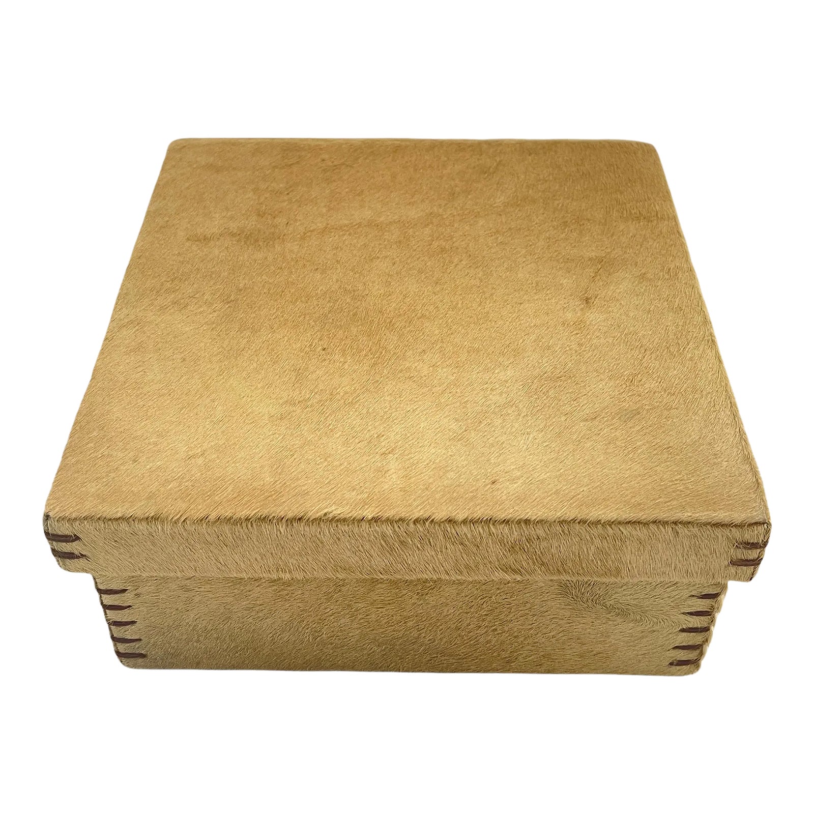 Global Views Pony Hair Leather Box Chairish