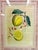 Vintage Framed “Limon Sbardonius” Lemon Citrus Botanical Print After Giovanni Battista Ferrari For Sale - Image 4 of 11