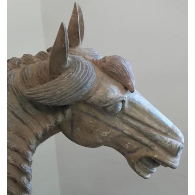 Han Dynasty Terracotta Horse, China, '206 Bc–220 Ad' For Sale - Image 4 of 13