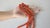 Antique Salmon Coral Beaded Necklace, 12k White Gold Clasp, 31.5" For Sale - Image 9 of 10
