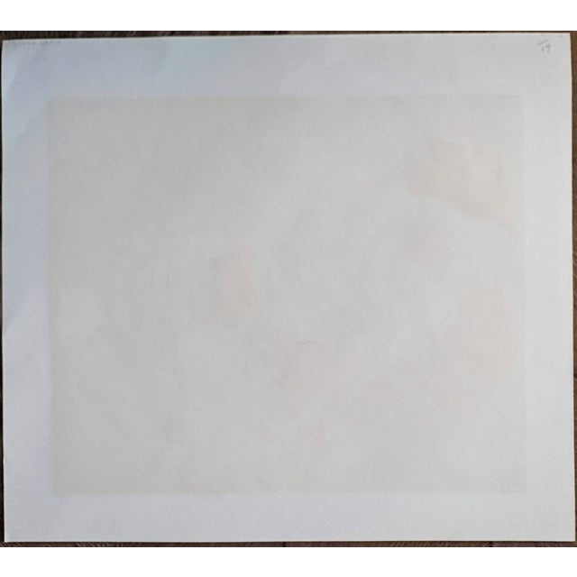 Original Signed Hunt Slonem Serigraph Pillow Jungle For Sale - Image 10 of 14