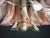 Italian Flamingo Ceiling Light in Murano, 1990 For Sale - Image 11 of 13