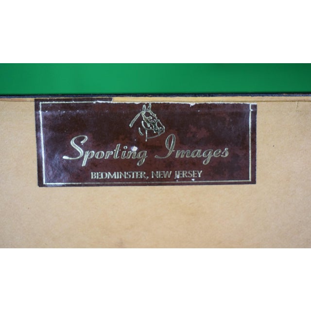 Mid 20th Century Mid 20th Century German Show-Jumper, Alwin Schockemohle Watercolour by Tim Holder For Sale - Image 5 of 6