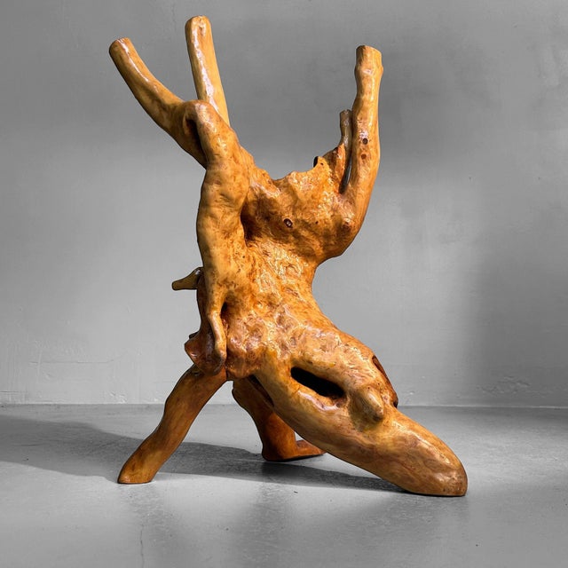 Japanese Wabi-Sabi Ikebana Tsuge Burl Wood Sculpture, 1920s For Sale - Image 6 of 10