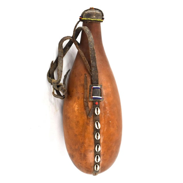 The Maasai milk gourd, a significant symbol in Maasai culture, epitomizes sustenance, community, and heritage within this...