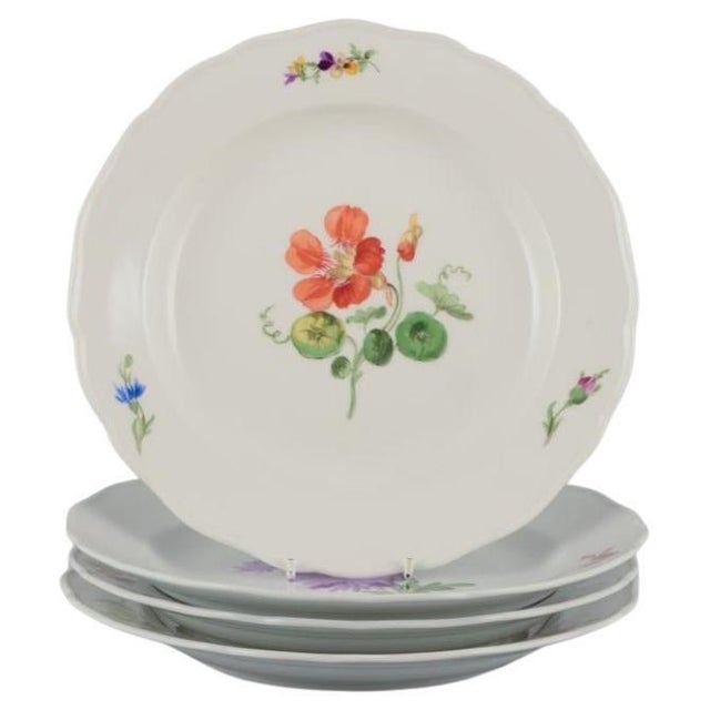 Porcelain Dinner Plates with Floral Motifs from Meissen, Germany, 1890s, Set of 4 For Sale - Image 10 of 10