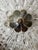 Vintage Swedish Sculptural Glass Ceiling Fixture with Floral Rosette, 1970 For Sale - Image 13 of 18