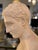 Unknwon, Plaster Bust of the God Hermes, 1900, Gesso For Sale - Image 13 of 18