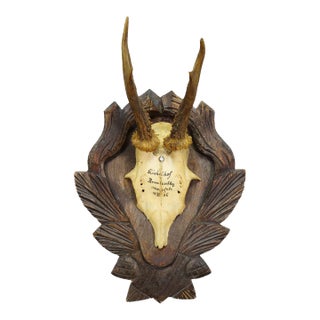 Black Forest Vintage Roe Deer Trophy on Carved Plaque, Germany 1936 For Sale
