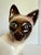 Mid-Century Modern Mid-Century Figurative Siamese Cat Ceramic Planter Cachepot For Sale - Image 3 of 12