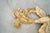 1950’s Mid-Century Modern Universal Statuary Wall Sculptures - A Pair For Sale In Los Angeles - Image 6 of 12