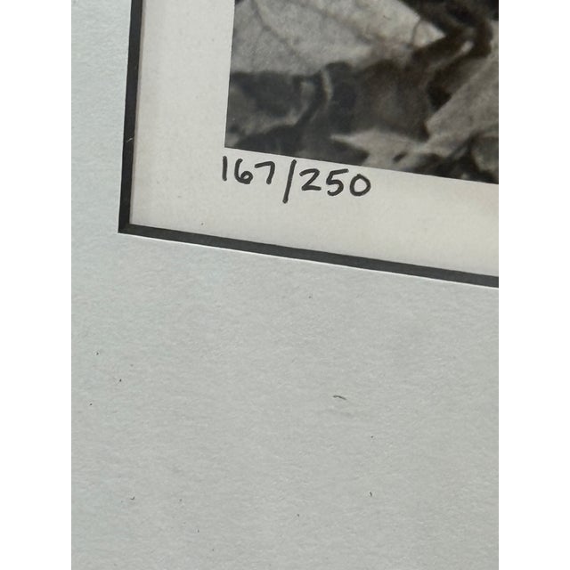 Printmaking Materials An American Block, Hamilton, Ohio, 1943 Signed by Alfred Eisenstaedt For Sale - Image 7 of 18